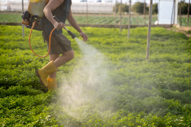 Best Affordable Pest Control Services  in Marshall, MO
