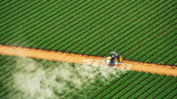 Best Mosquito Control Services  in Marshall, MO