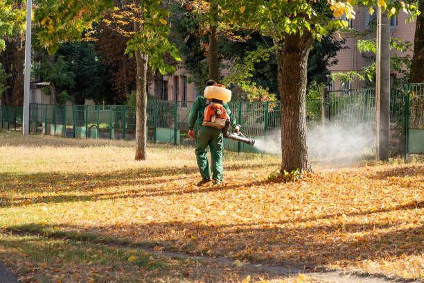 Wasp Removal Services in Marshall, MO