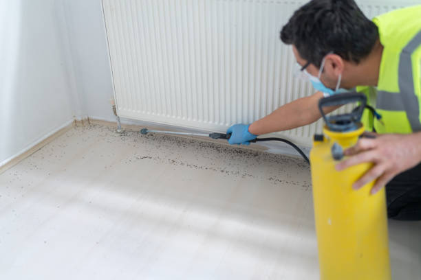Best Pest Inspection Near Me  in Marshall, MO