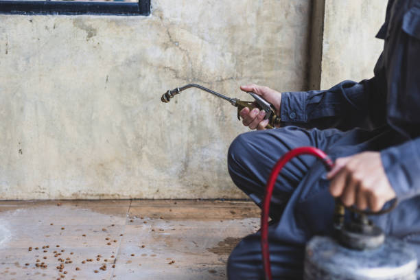 Best Pest Prevention Services  in Marshall, MO